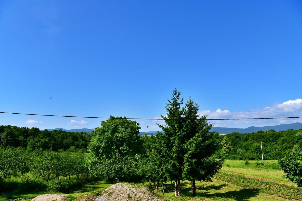 Apartman Mate Rakovica Exteriér fotografie